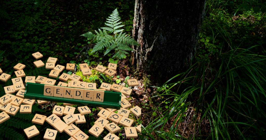 Sambla peal on täheklotsid ja sõna gender